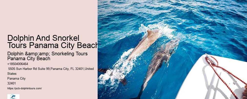 Dolphin And Snorkel Tours Panama City Beach