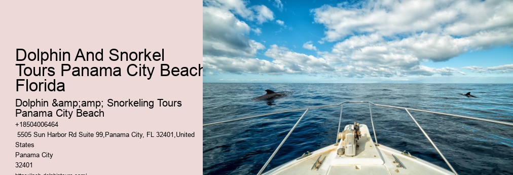 Panama City Beach Dolphin And Snorkeling Tours