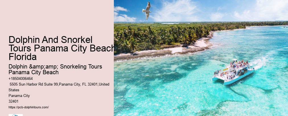 Shell Island Snorkel And Dolphin Catamaran Cruise