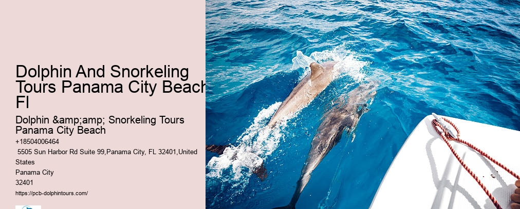 Dolphin And Snorkeling Tours Panama City Beach Fl