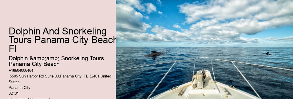 Shell Island Snorkel Cruise