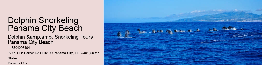 Panama City Beach Dolphin Tour With Snorkeling