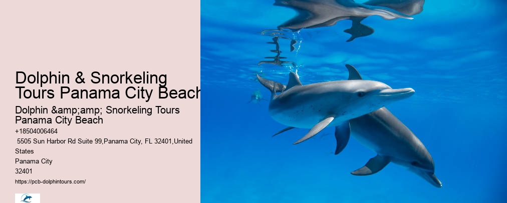 Snorkeling Tours Panama City Beach