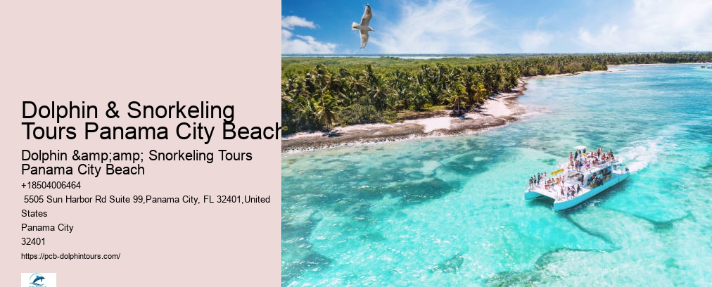 Shell Island Snorkeling