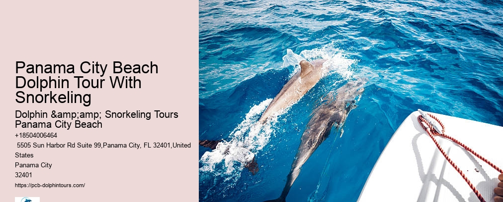 Panama City Beach Dolphin Tour With Snorkeling