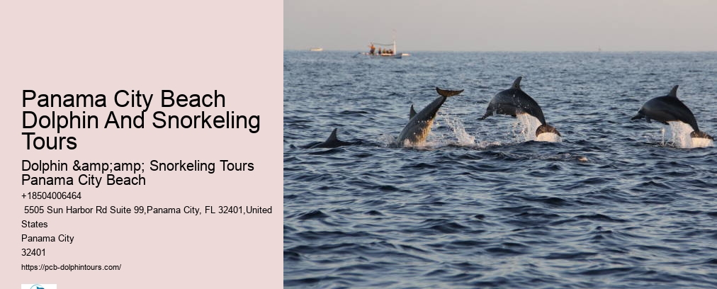 Snorkeling Tours Panama City Beach