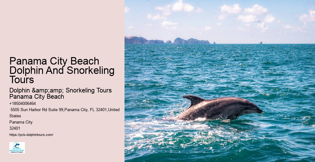 Dolphin & Snorkeling Tours Panama City Beach
