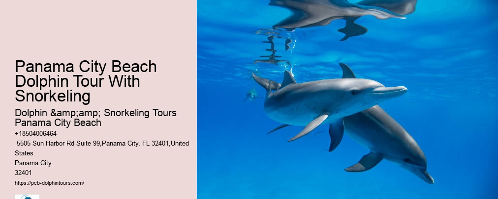 Dolphin And Snorkel Tours Panama City Beach