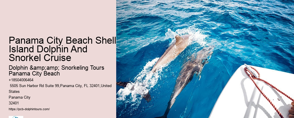 Snorkeling Trips Panama City Beach