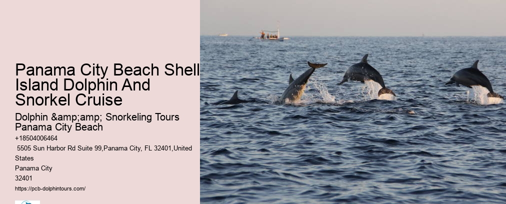 Shell Island Snorkeling
