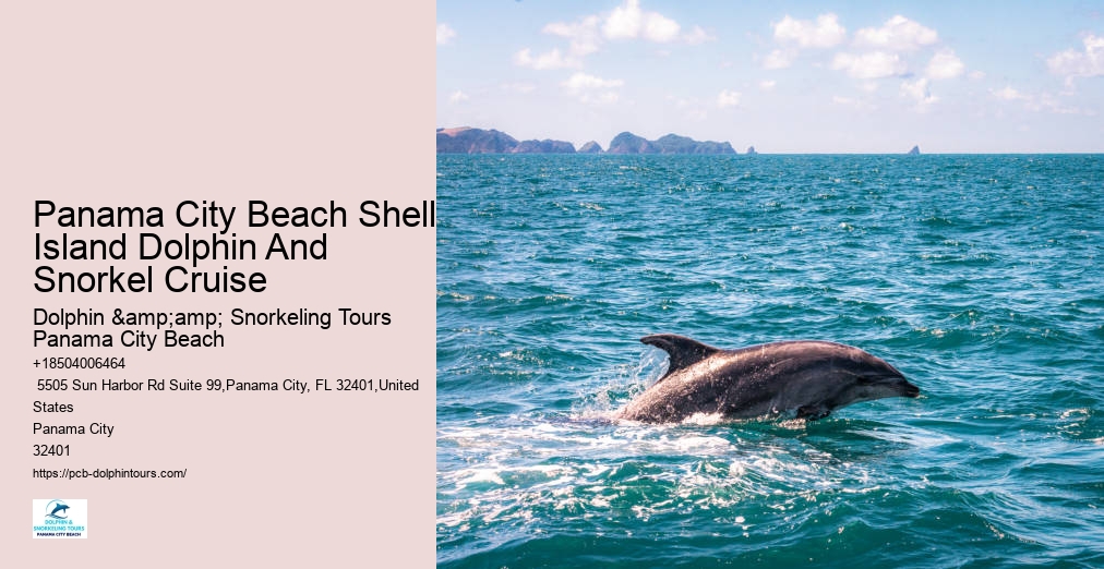 Dolphin And Snorkel Tours Panama City Beach Florida