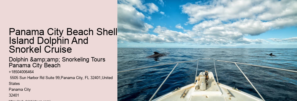 Shell Island Snorkeling Panama City Beach