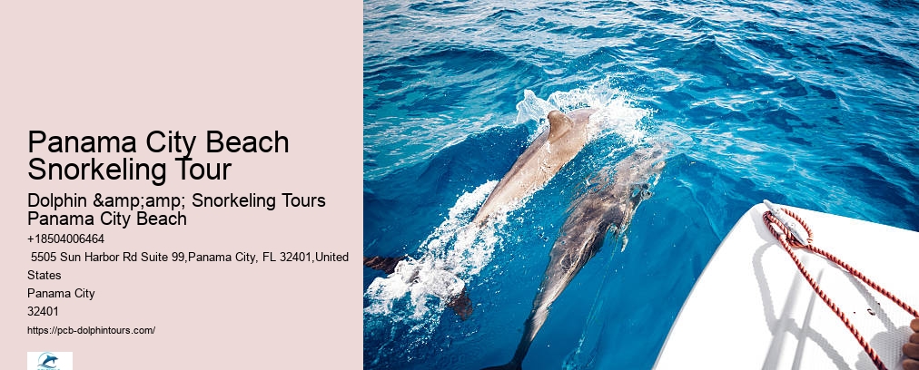 Panama City Beach Snorkeling Tour