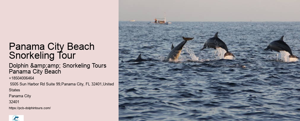 Panama City Beach Dolphin And Snorkeling Tours