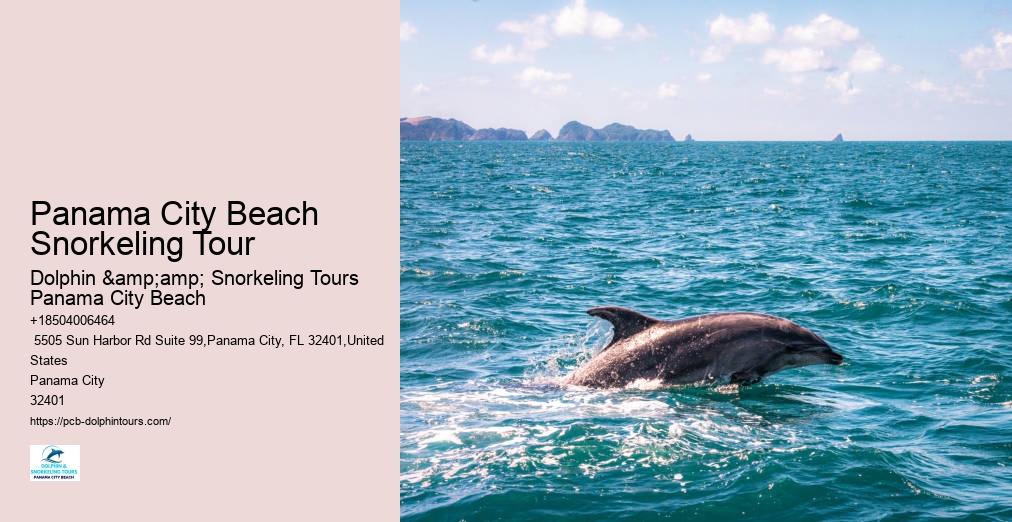 Snorkeling Tours Panama City Beach