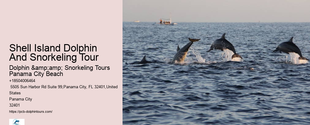 Snorkeling Trips Panama City Beach