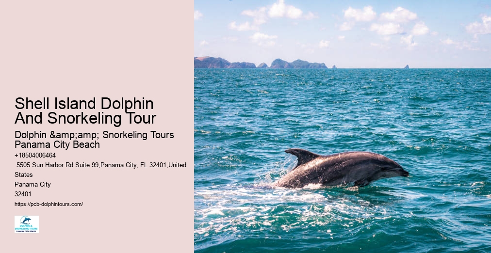 Dolphin Snorkeling Panama City Beach