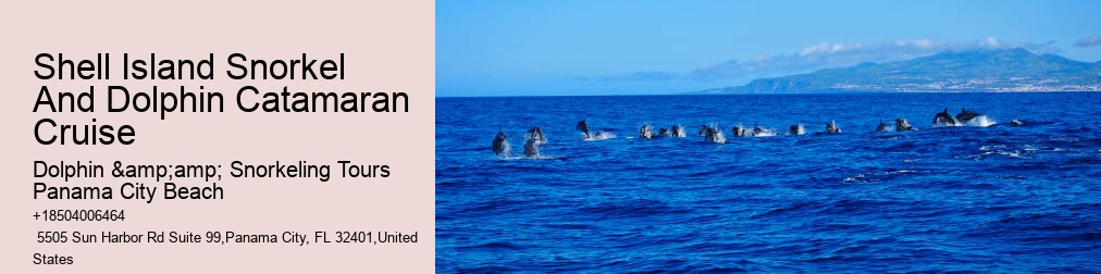Panama City Beach Dolphin Tour With Snorkeling