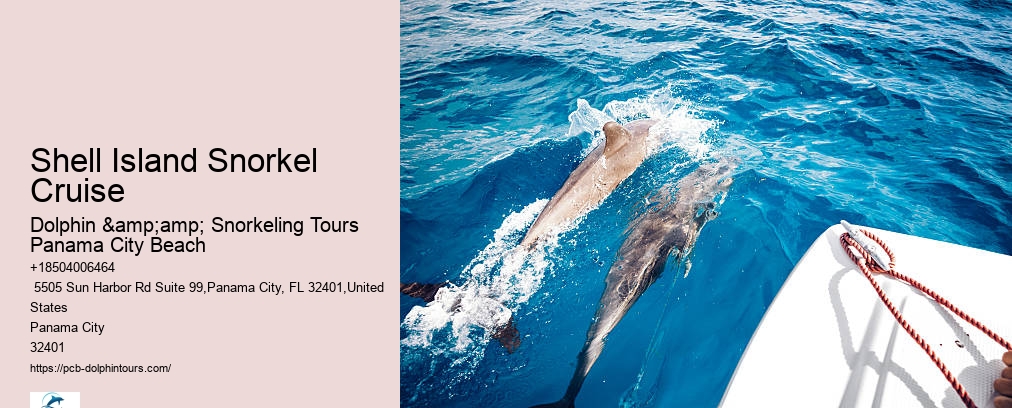 Shell Island Snorkeling