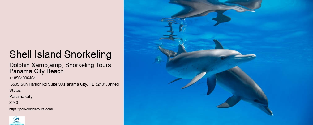 Snorkeling Tours Panama City Beach