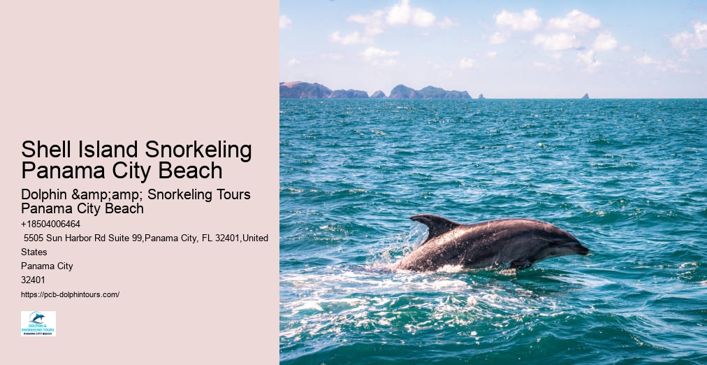 Panama City Beach Snorkeling Tours