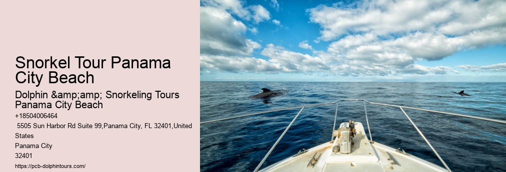 Panama City Beach Dolphin And Snorkeling Tours