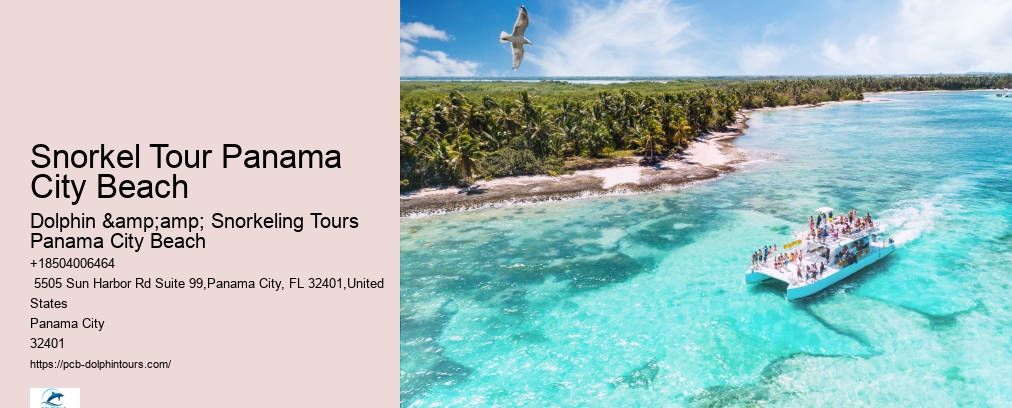 Dolphin And Snorkel Tours Panama City Beach
