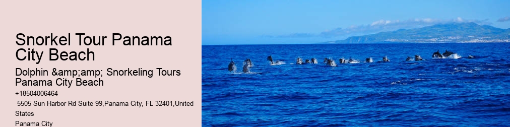 Snorkeling Tours Panama City Beach