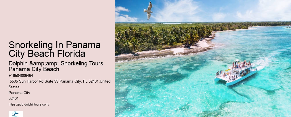 Dolphin And Snorkeling Tours Panama City Beach