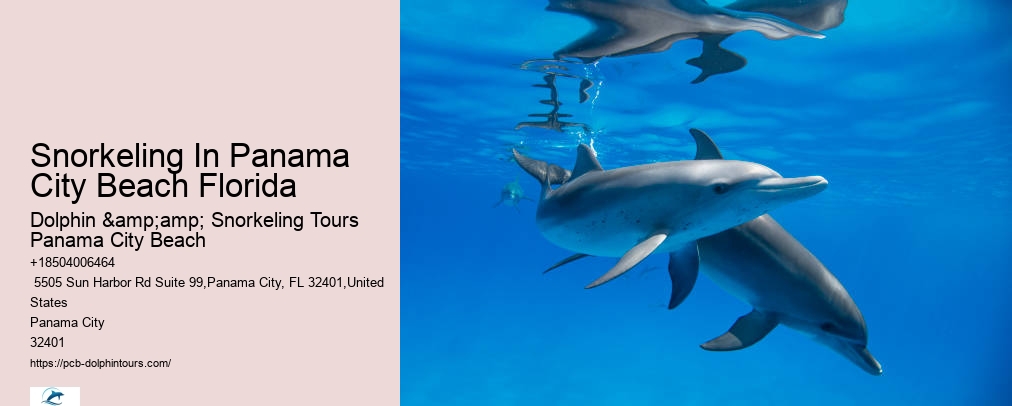 Panama City Beach Snorkeling Tours