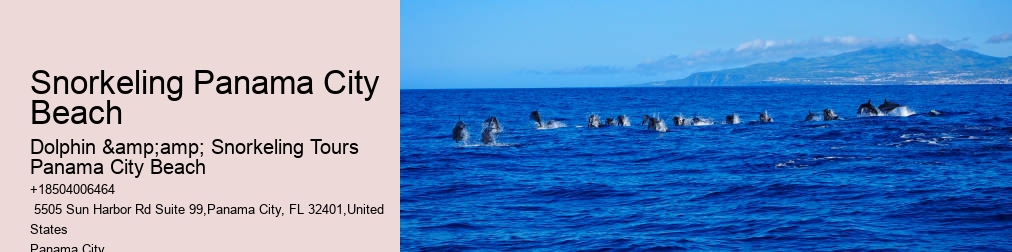 Panama City Beach Snorkeling Tour
