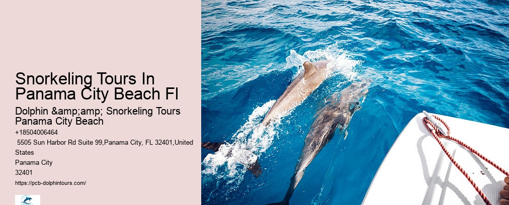 Snorkeling Tours In Panama City Beach Fl