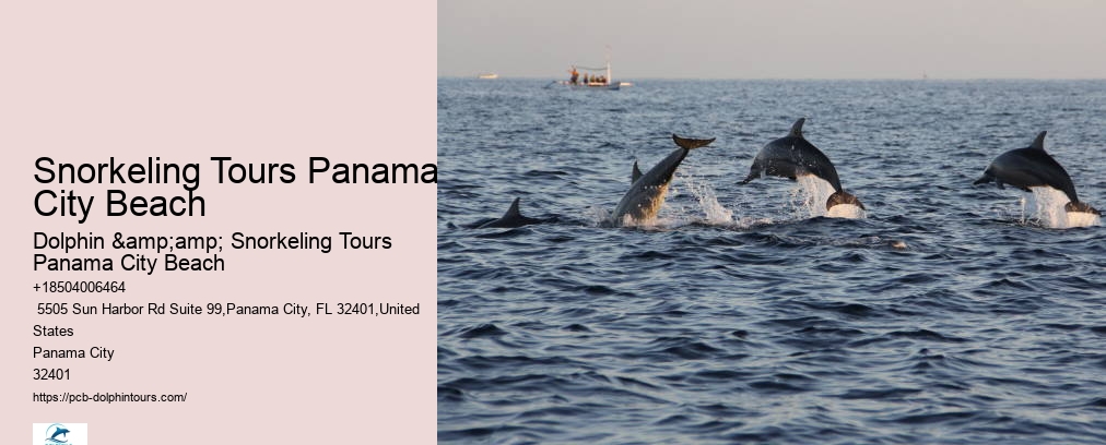 Panama City Beach Shell Island Dolphin And Snorkel Cruise