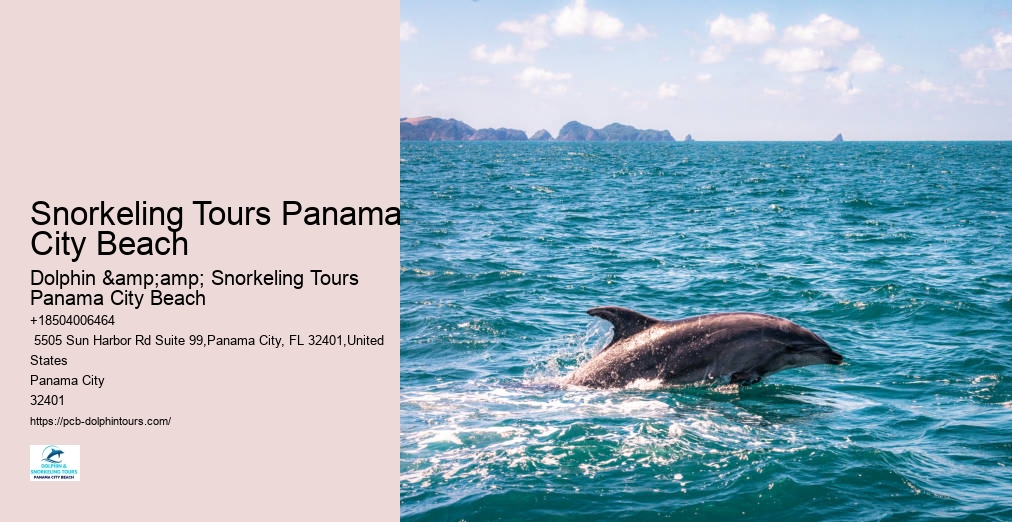Dolphin & Snorkeling Tours Panama City Beach